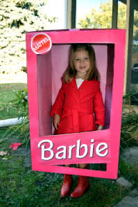 barbieboxcostume
