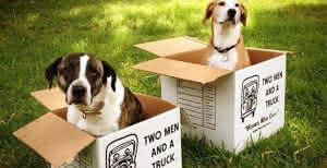 moving with dogs